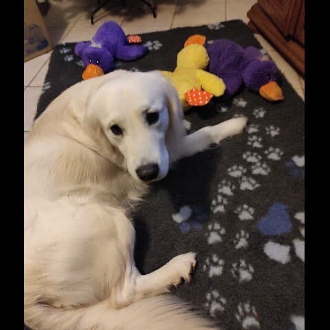 Marley