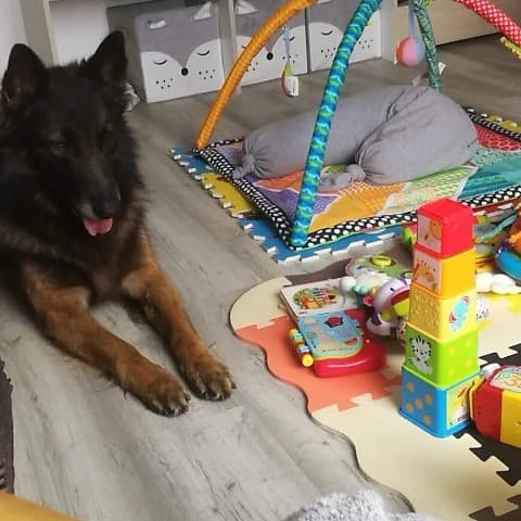Milo