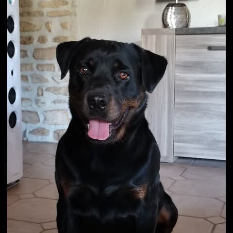 Niska