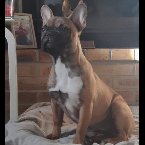 Philaé