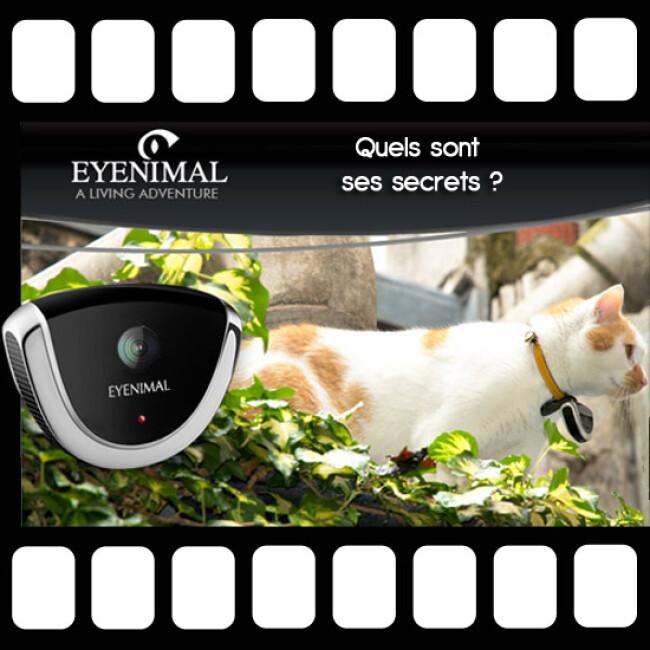 Caméra embarquée PetCam- Eyenimal. Clôture anti fugue, clôture électronique  pour chien et chat, Enclos et parc pour chiens.