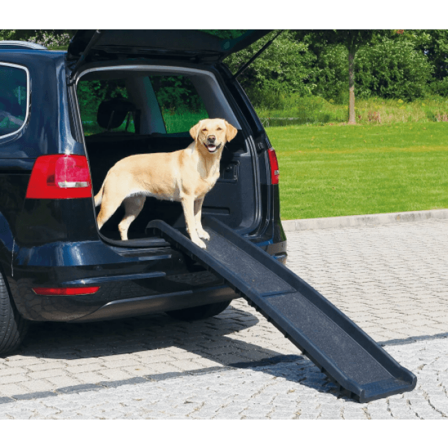 Rampe chien pliable chien rampe chien rampe plastique - Ciel & terre