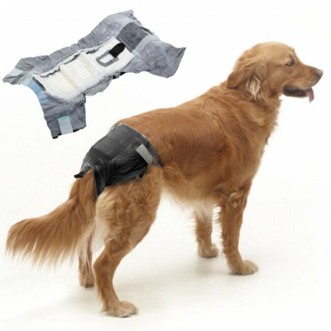Bandeau anti-pipi ÉCOSSAIS pour chien mâle