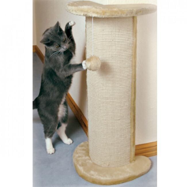 Arbre à chat avec griffoir en sisal 50 cm Beige et Marron - Accessoires  pour chats - Meubles pour chats - Multicolore - Multicolore