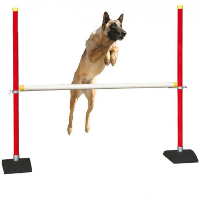 Agility sport，Équipement d'entraînement d'agilité pour animaux de  compagnie, barre réglable ，pour chien d'obstacles à la perche - Cdiscount  Animalerie