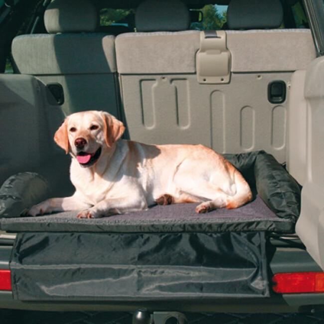 Coussin et protection de coffre arriere automobile pour le couchage de  votre chien pendant le transport