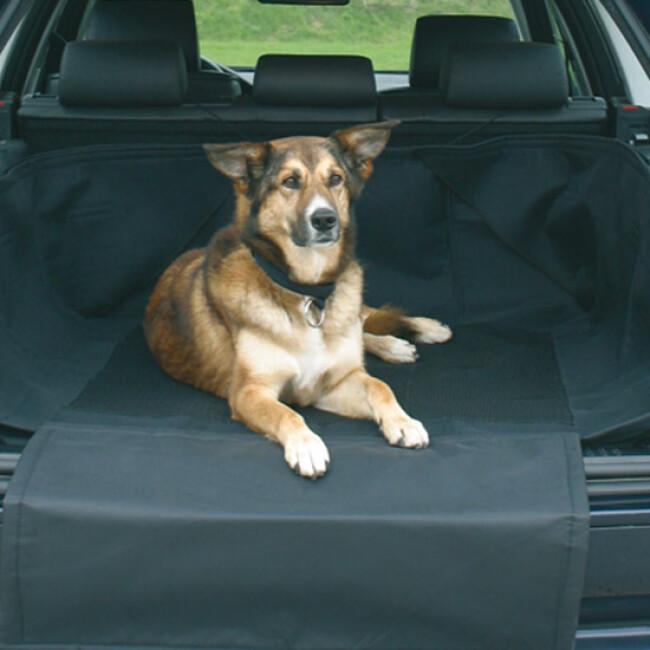 Couverture grise pour protection de coffre de voiture Doctor Bark pour chien