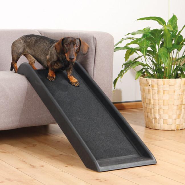 Rampe de voiture pour chiens de grande taille, portable et pliable en  aluminium avec surface antidérapante extra large, escalier de voiture pour