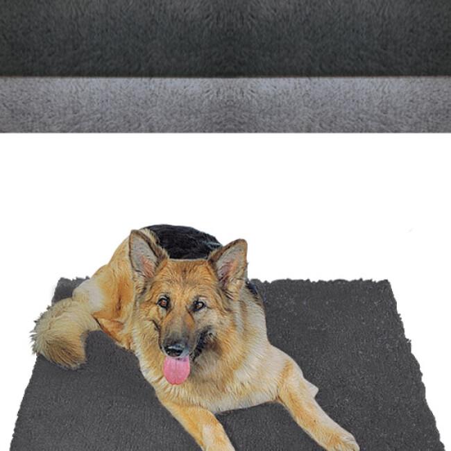 Un tapis de repos pour chien absorbant et de propreté