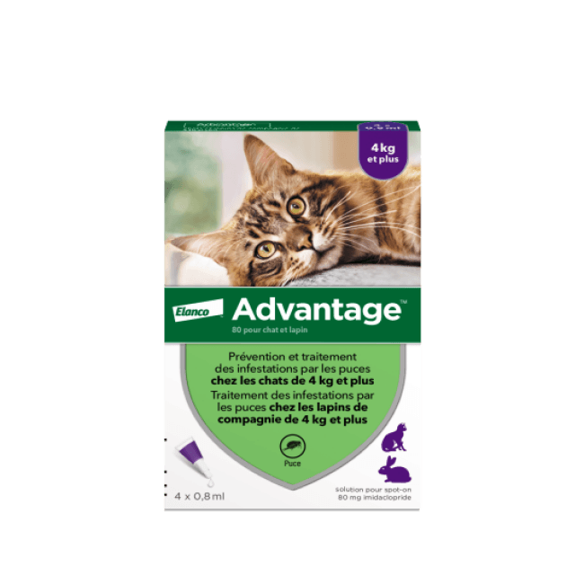 Purge antiparasitaire répulsif naturel pour chat