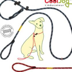 Laisse pour chien en corde d'escalade réfléchissante - Catedogshop