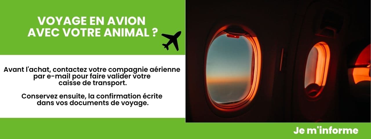 Voyage en avion  avec votre animal ?