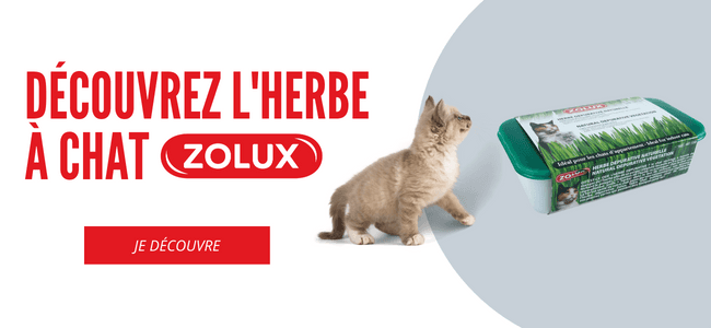 Désodorisant litière chat PURECAT chèvrefeuille 1L ZOLUX