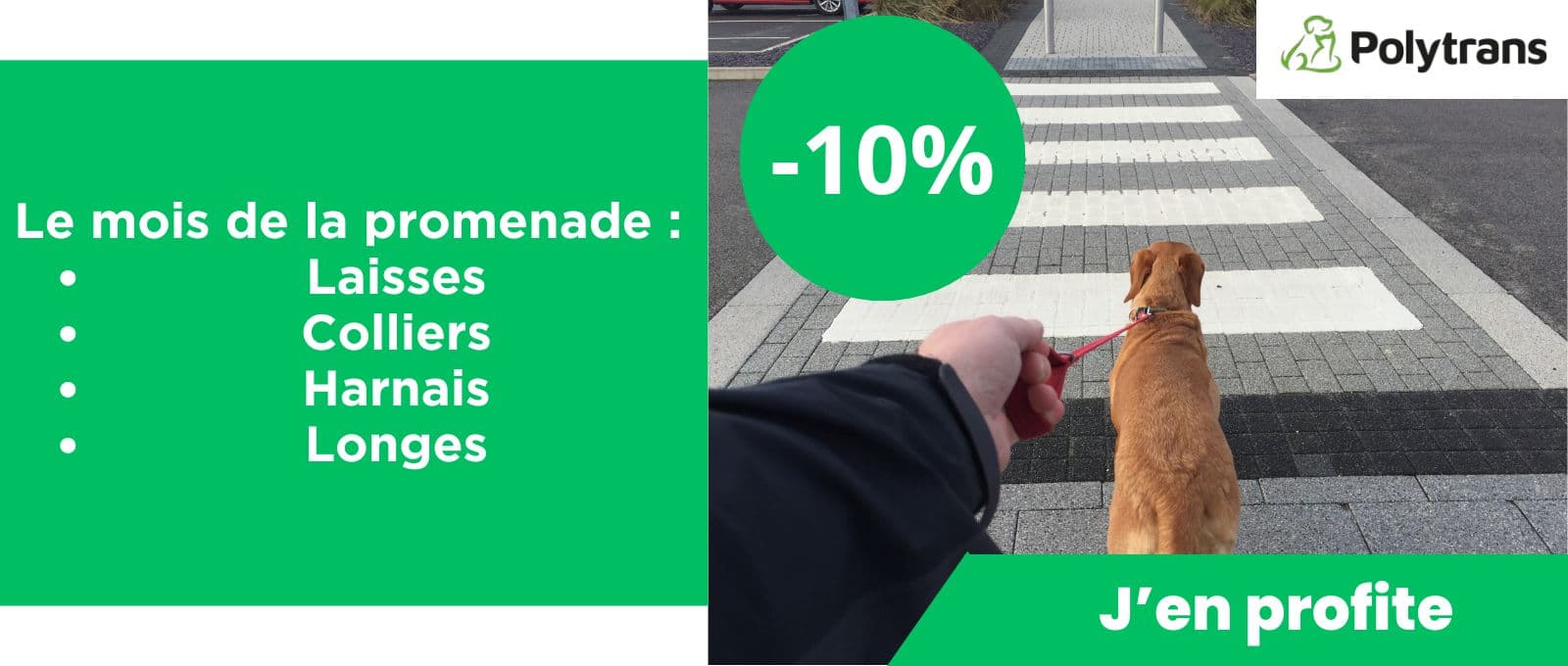 Le mois de la promenade : laisses, colliers, harnais et longes à -10% !
