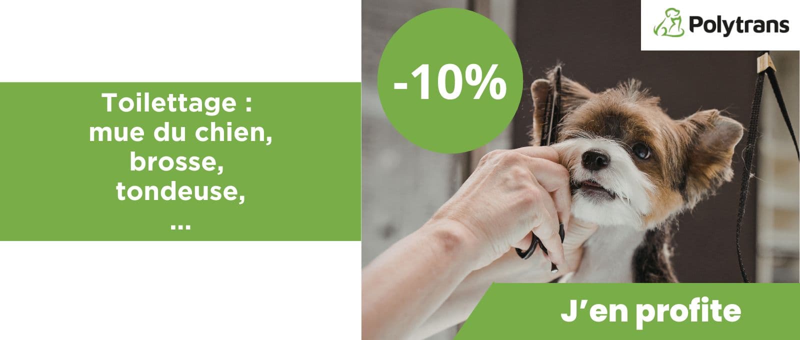 https://www.polytrans.fr/toilettage-mue-du-chien-brosse-tondeuse-avec-10-de-remise
