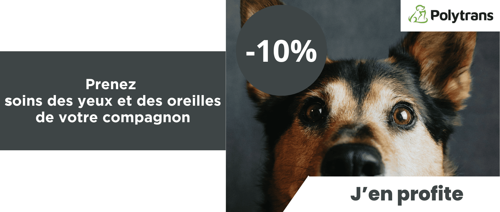 Prenez soins des yeux et des oreilles de votre compagnon : -10% de réduction