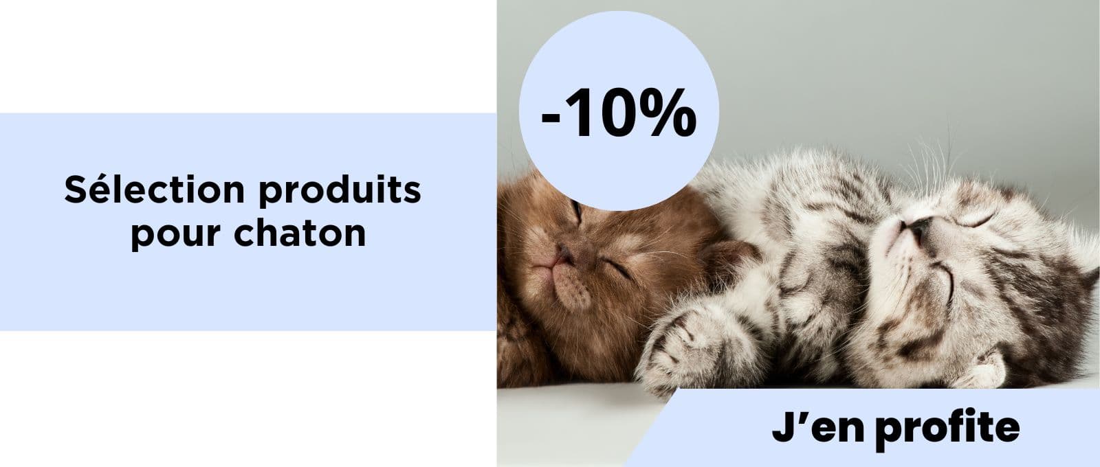 Sélection produits pour chaton : -5% de réduction !