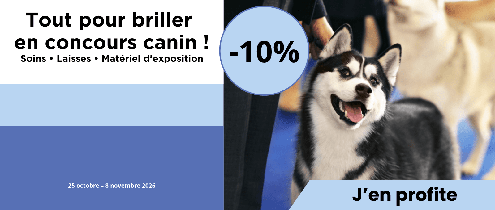 Concours canins : -10 % sur une sélection de soins, laisses et matériel d’exposition
