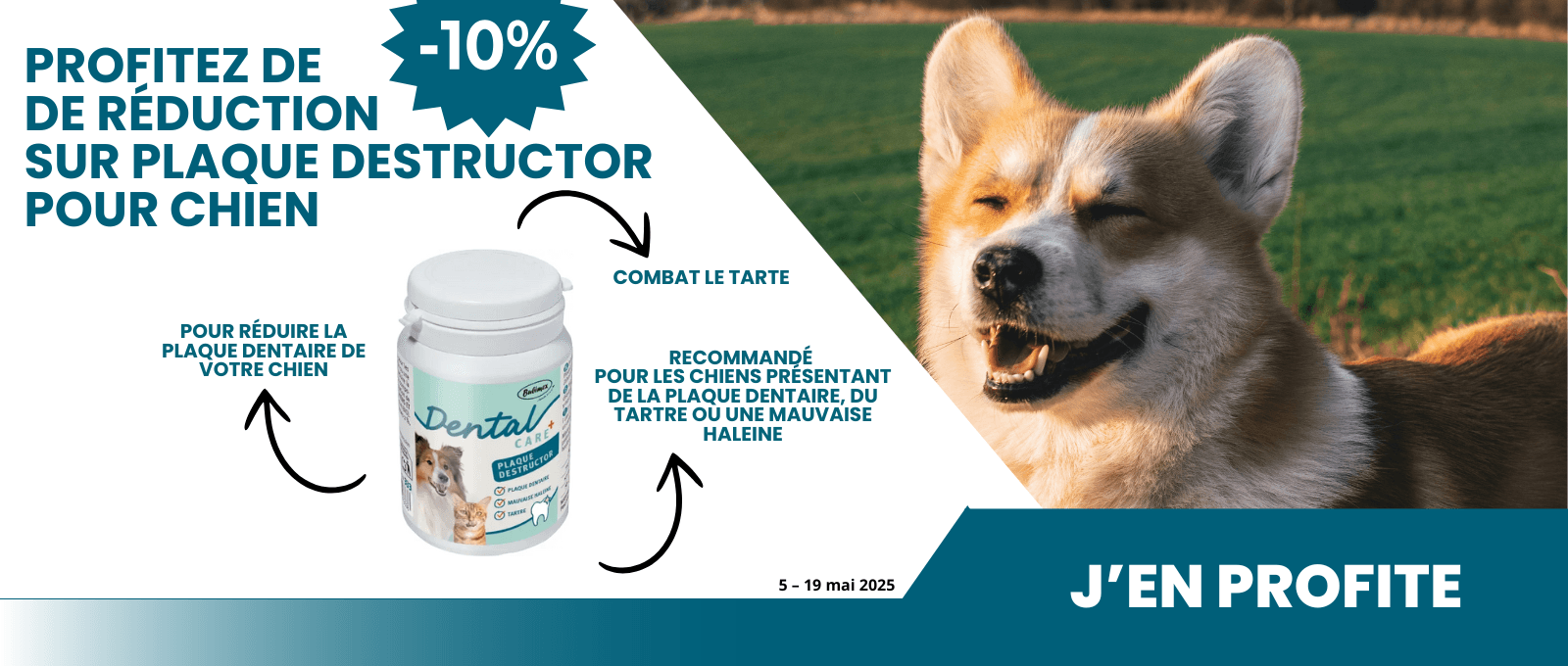 Plaque Destructor pour chien