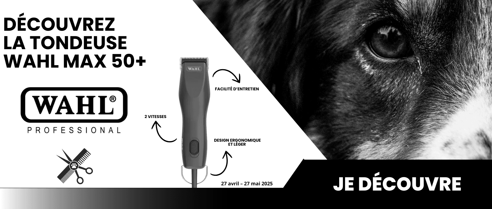 Découvrez la Tondeuse Wahl MAX 50+