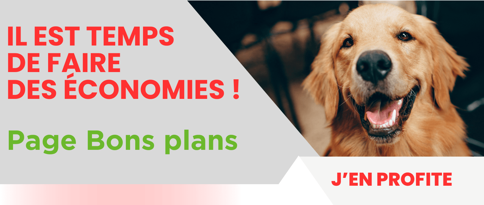 Bons plans POLYTRANS