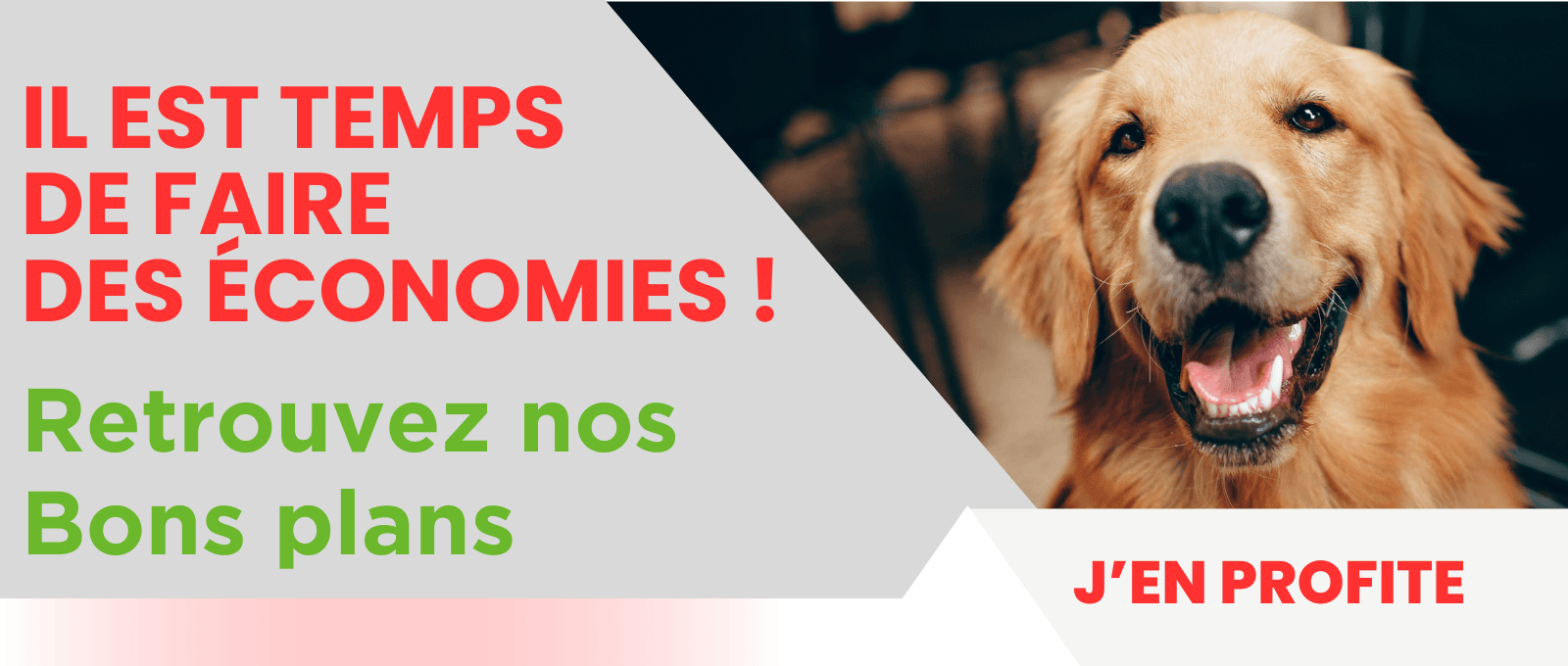 Bons plans POLYTRANS