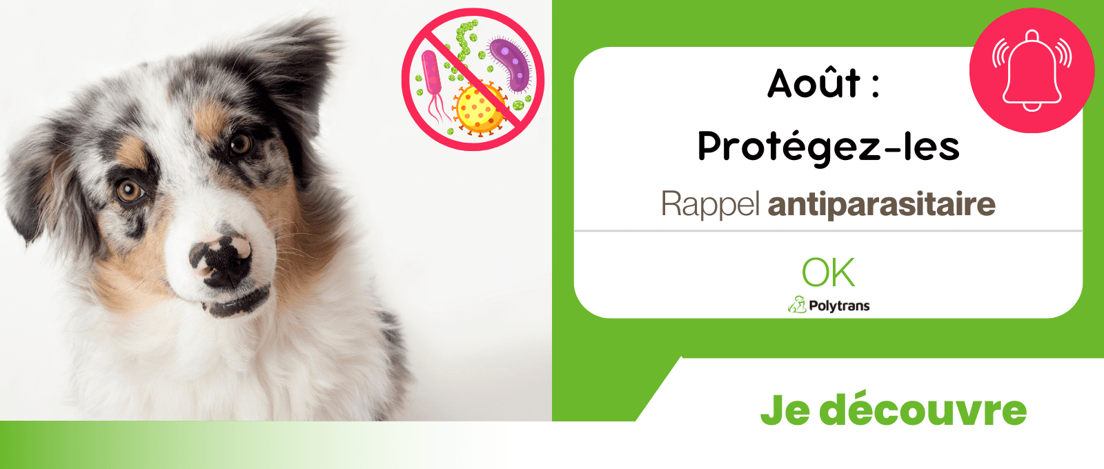 Rappel antiparasitaire : 08/2025