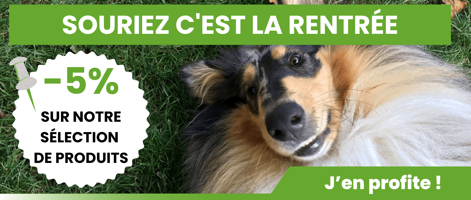 Souriez c'est la rentrée