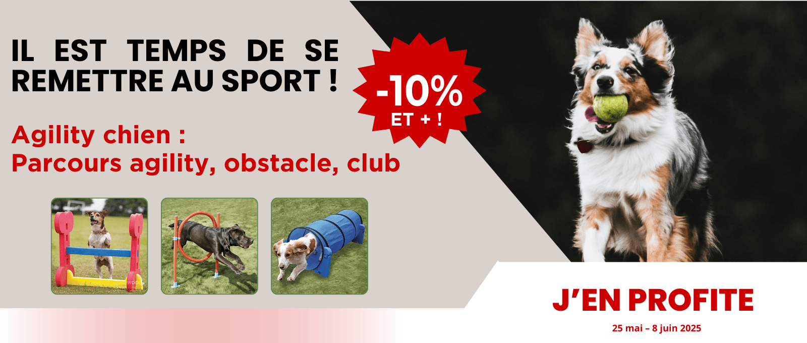 Agility chien : Parcours agility, obstacle, club : -10% 2025