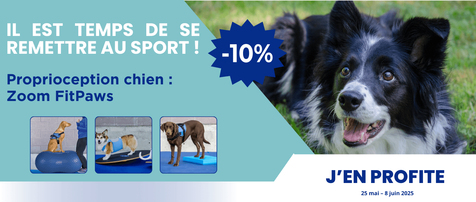 Proprioception chien : Zoom FitPaws : -10%