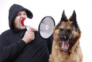 Différences entre un éducateur canin et un comportementaliste pour chien