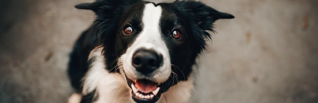 H3delkd7wekhrm H3delkd7wekhrm