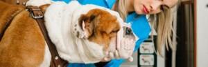 Ostéopathie : une autre manière de soigner son chien