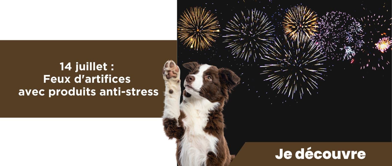 14 juillet : feux d'artifices avec produits anti-stress