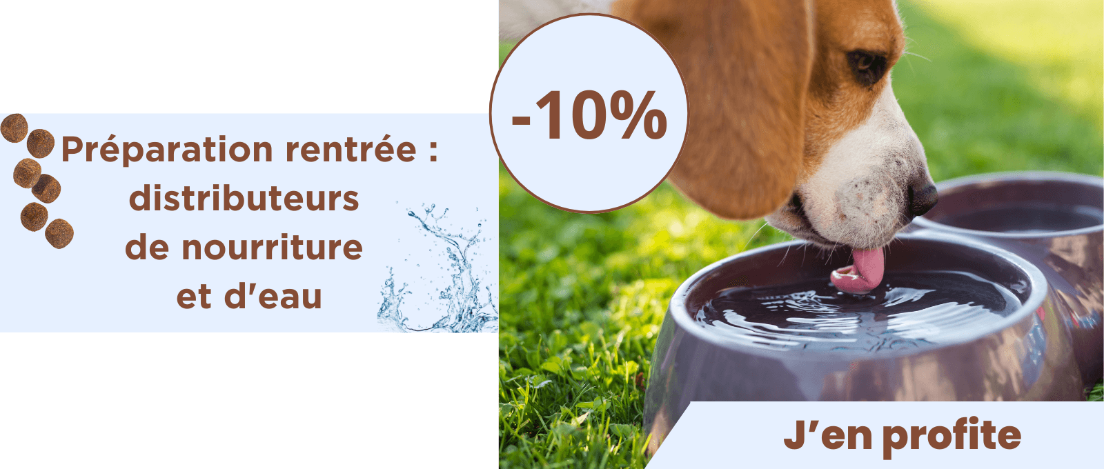 Préparez la rentrée : -10% sur les distributeurs d’eau et de nourriture !