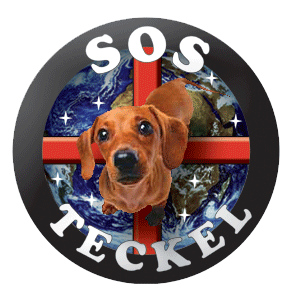 Association SOSTECKEL & Animaux en detresse *
