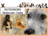 POLYTECHNICHIEN Education Canine et Coaching*