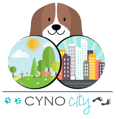 CYNOCITY réeducation comportementale loisirs canins