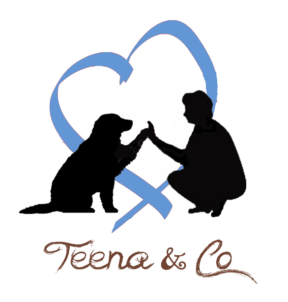 TEENA & CO Educateur Canin Comportementaliste à domicile*