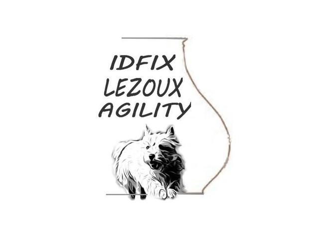 Club éducation Idfix lezoux agility *