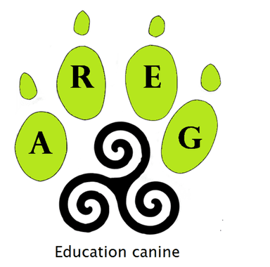 AREG Education canine - Photographie*