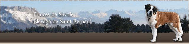 Elevage DES PRINCES DE SAVOIE Saint Bernard*