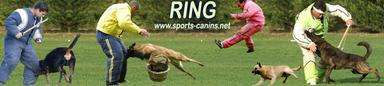Sports canins, Ring, Mondioring, Campagne, Pistage, RCI, Obeissance*