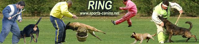 Sports canins, Ring, Mondioring, Campagne, Pistage, RCI, Obeissance*