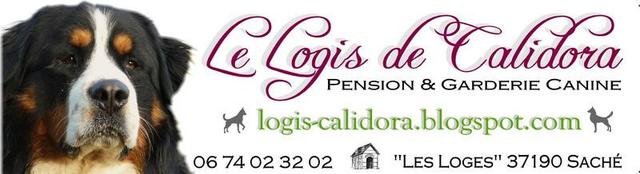 LE LOGIS DE CALIDORA Pension canine *