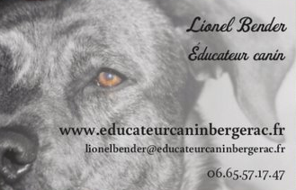 Educateur canin comportementaliste à Bergerac