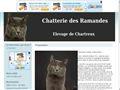 Chatterie DES RAMANDES Chartreux*
