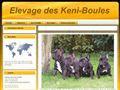 Elevage KENI BOULES Bouledogue Français