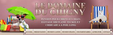 Elevage Pension DOMAINE DE CHIGNY Shetland Bouledogue Teckel*