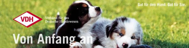 ALLEMAGNE Startseite - Verband für das Deutsche Hundewesen (VDH)